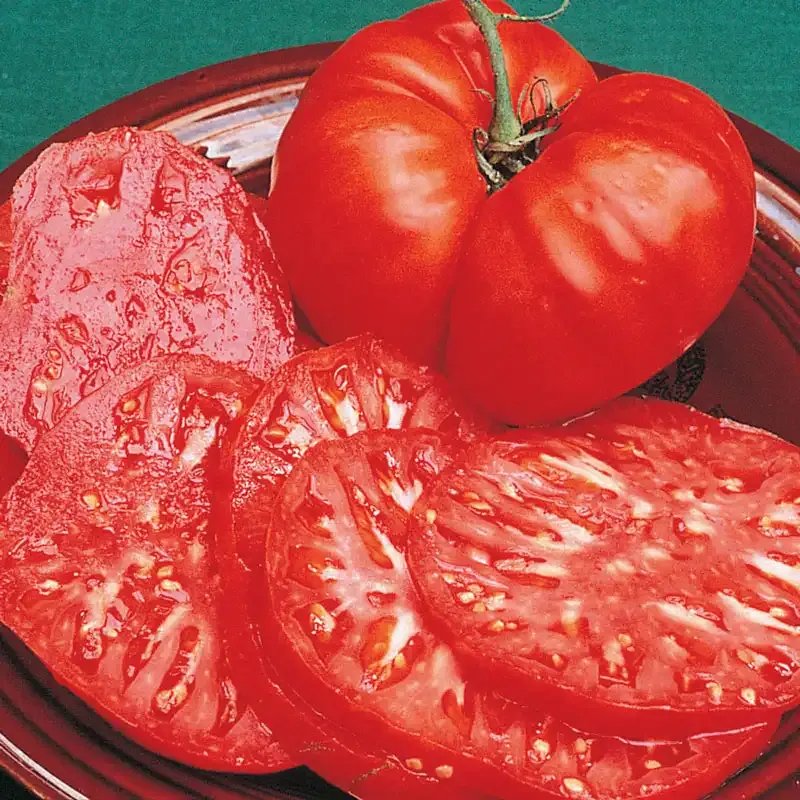 Brandywine Heirloom Tomato Seeds - Indeterminate Beefsteak Variety 1