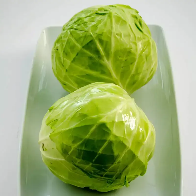 Tiara Hybrid Cabbage Seeds - Early Maturing High-Yield Variety 2