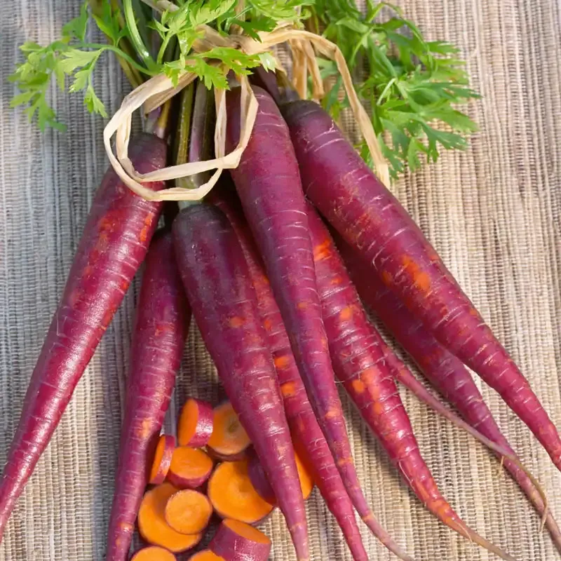 Cosmic Purple Carrot Seeds Heirloom Vegetable Garden Planting