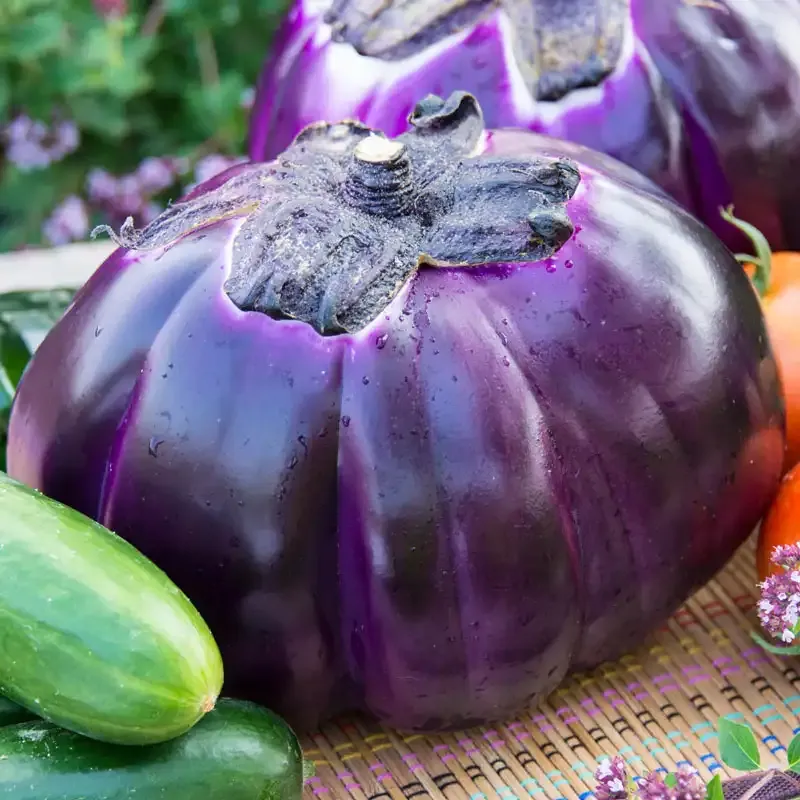 Prosperosa Eggplant Heirloom Vegetable Seeds 1
