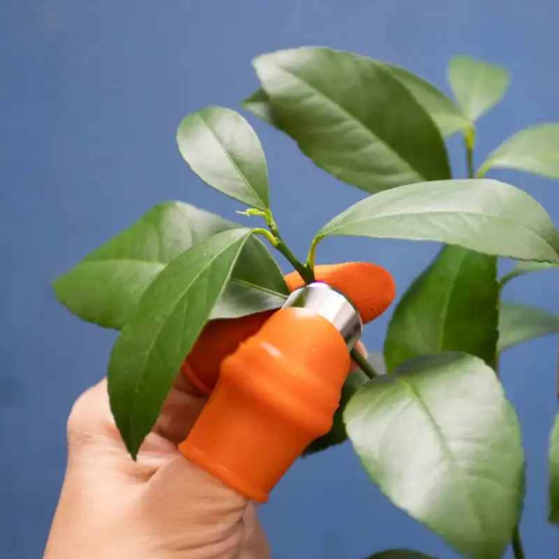 Thumb Pruner and Five Finger Guards Set for Gardening and Harvesting
