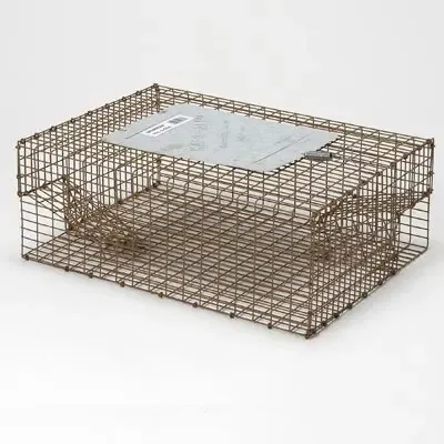 Humane Live Sparrow Trap Cage for Garden and Agricultural Bird Control