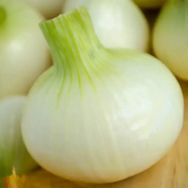 Crystal White Wax Onion Bulbs for Home Gardening