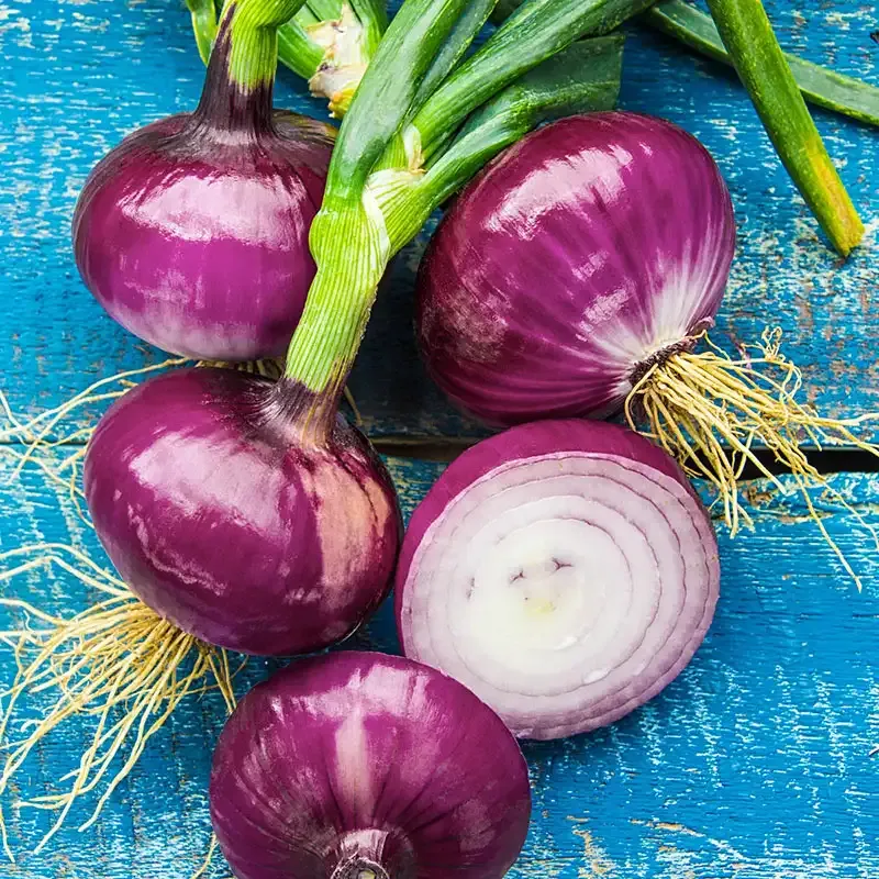 Red Candy Apple Onion - Culinary Specialty Produce