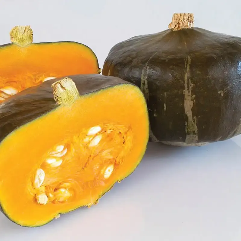 Bon Bon Hybrid Winter Squash Seeds - High-Yield Buttercup Variety