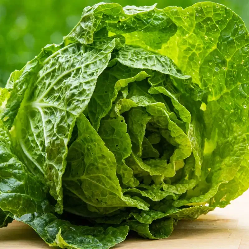 Emiko Hybrid Chinese Cabbage Seeds - High-Yield F1 Vegetable Seeds 2