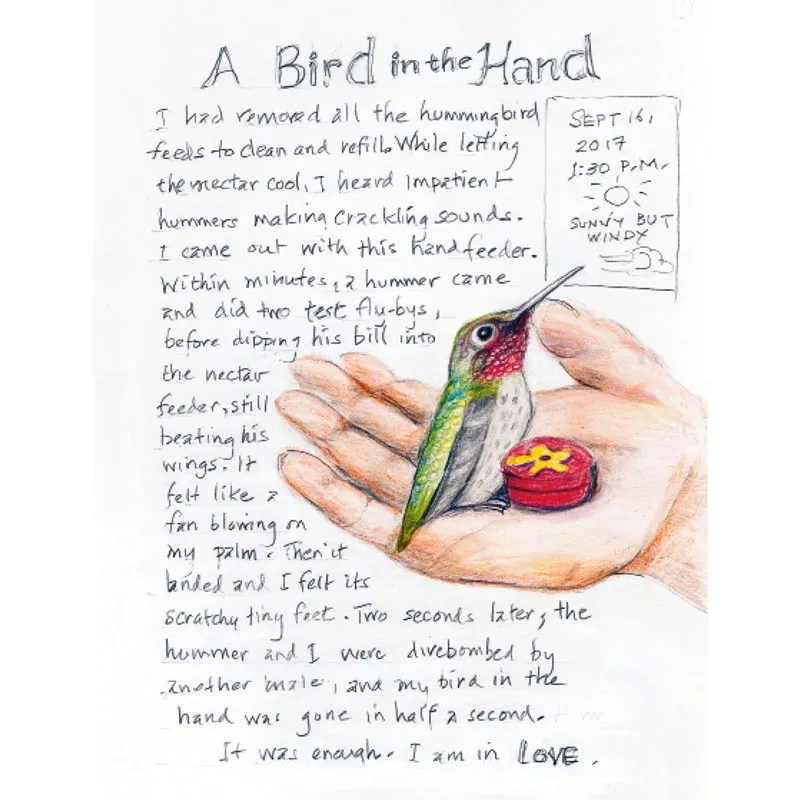 The Backyard Bird Chronicles: Comprehensive Bird Observation and Nature Journal 1