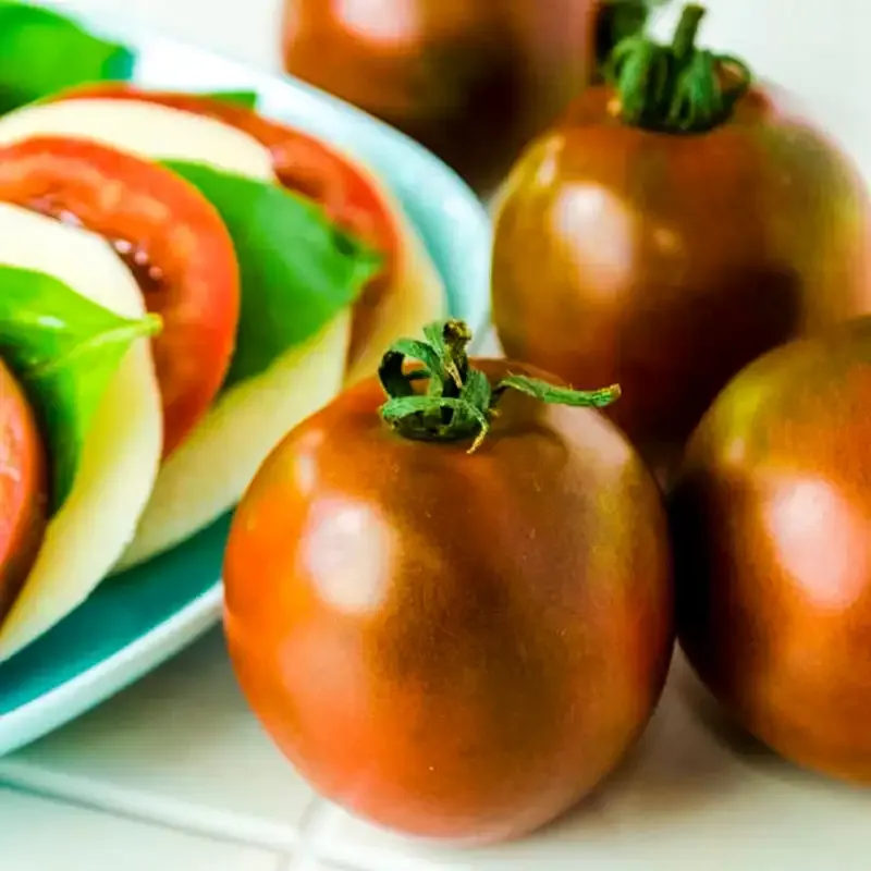 Black Velvet Hybrid Tomato Seeds - Approx. 25 Seeds 1