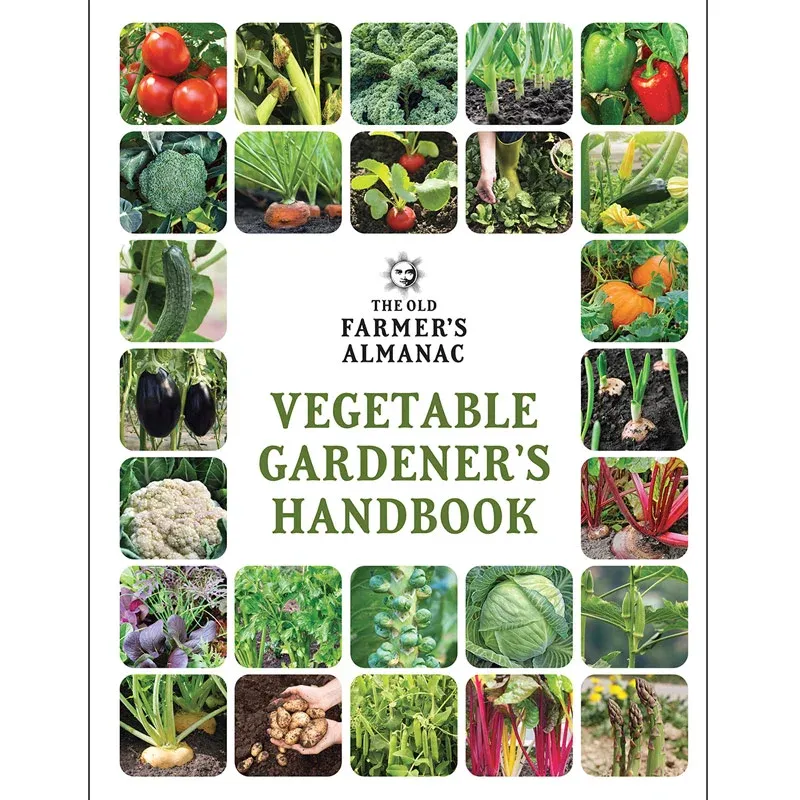 Vegetable Gardener’s Handbook: Practical Guide for Seasonal Planting and Garden Maintenance