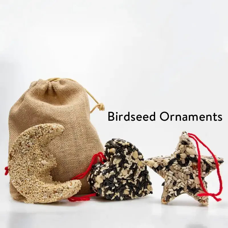 Natural Birdseed Garland and Decorative Birdseed Ornaments for Outdoor Bird Feeding 2