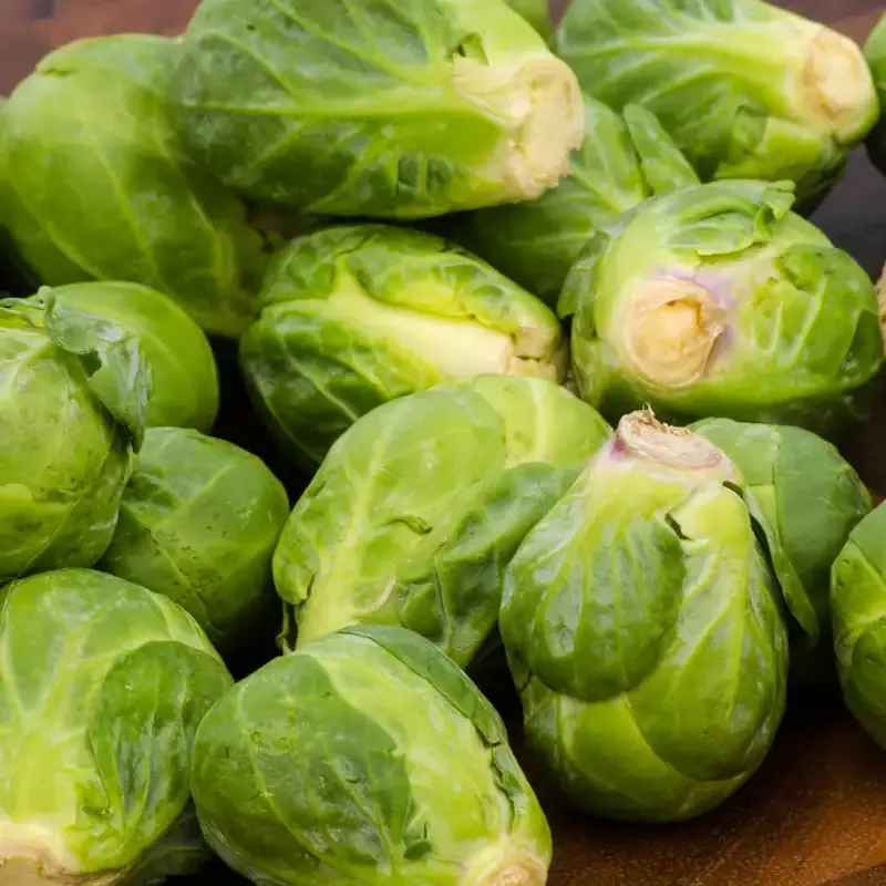 Diablo Hybrid Brussels Sprouts Seeds for Home Gardening