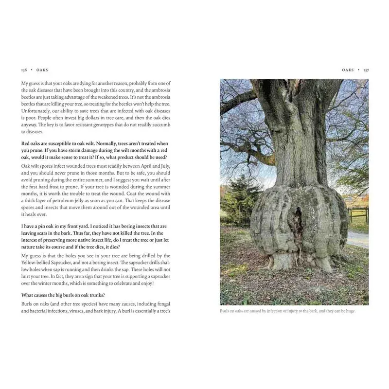 How Can I Help? Saving Nature with Your Yard - Sustainable Landscaping Guide 1