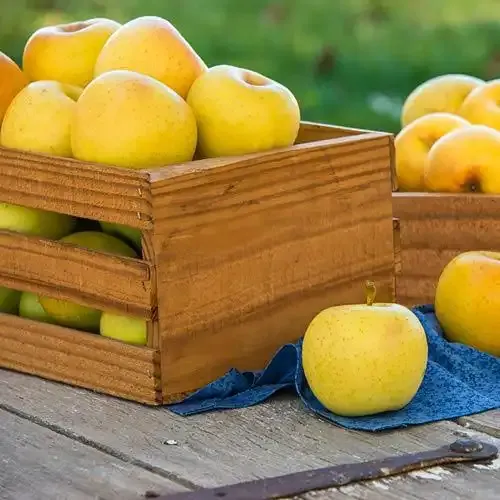 Fresh Seasonal Fruit Assortment - Natural Produce Selection 6