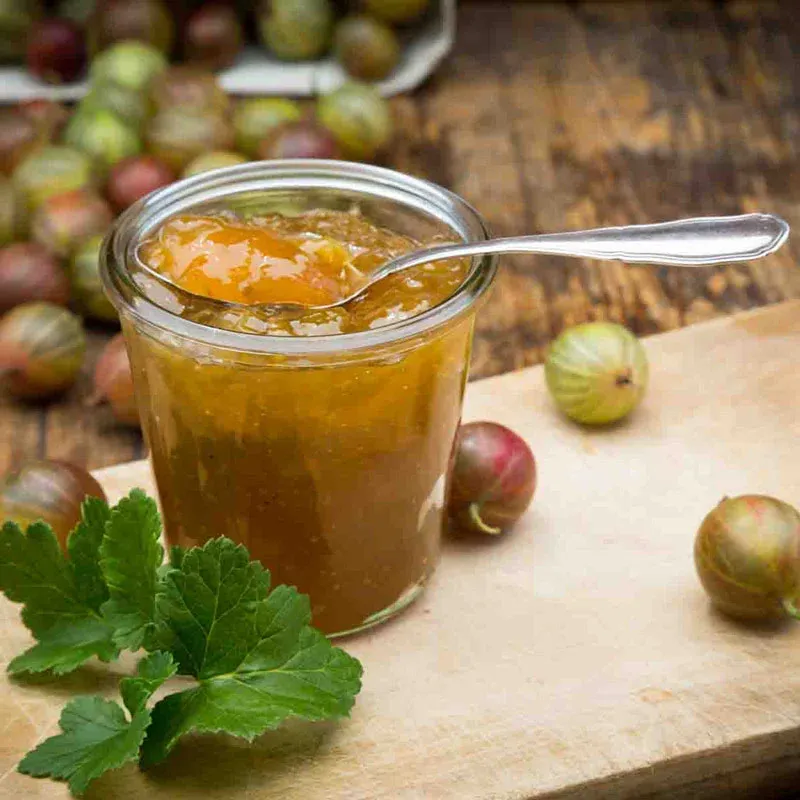 Pixwell Gooseberry Plant - Hardy Fruit-Bearing Shrub 2