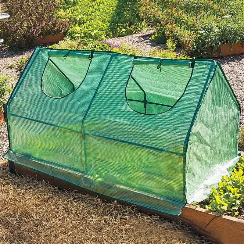 Multi Cloche Cold Frame - Weather Protection Plant Cover