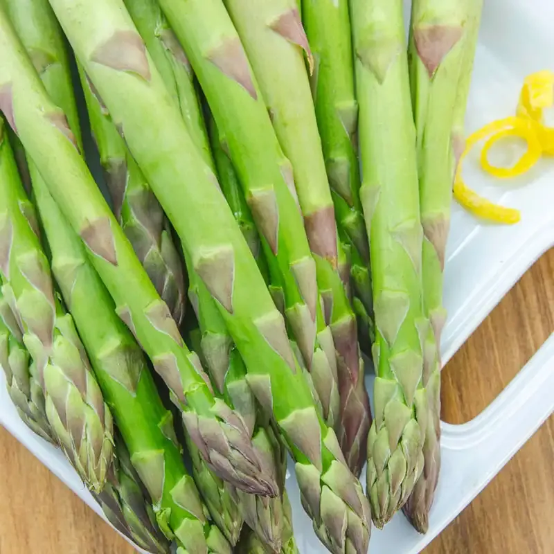 Spartacus Hybrid Asparagus Crowns for Perennial Vegetable Gardens