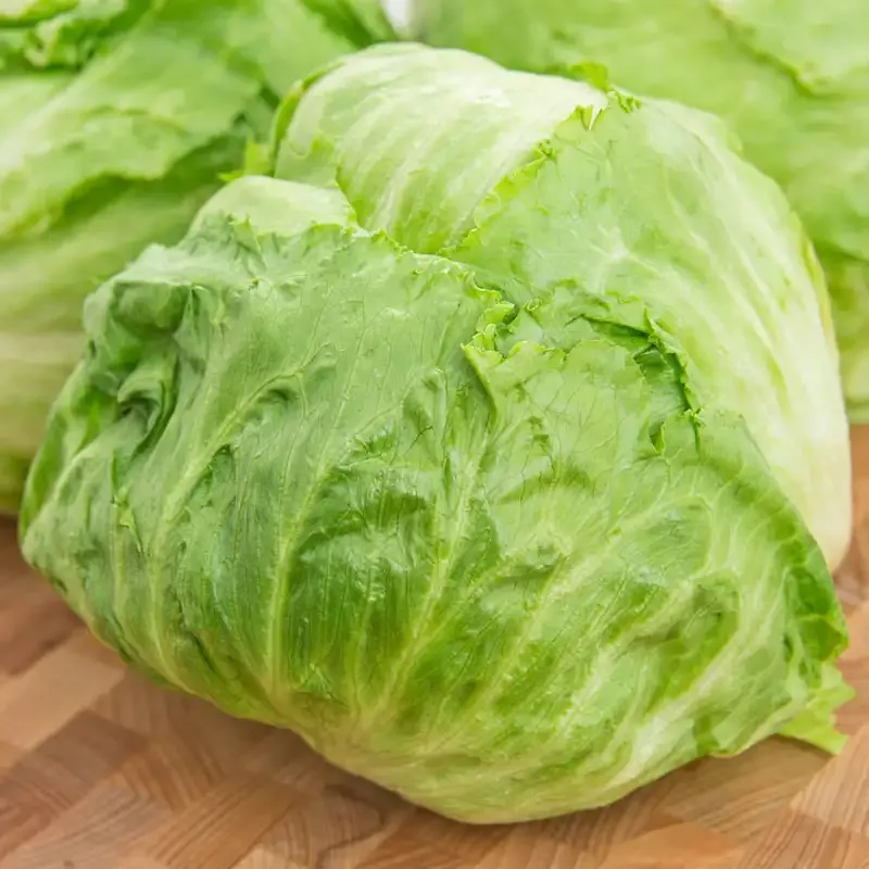 Ithaca Crisphead Lettuce Seeds for Home Vegetable Gardening
