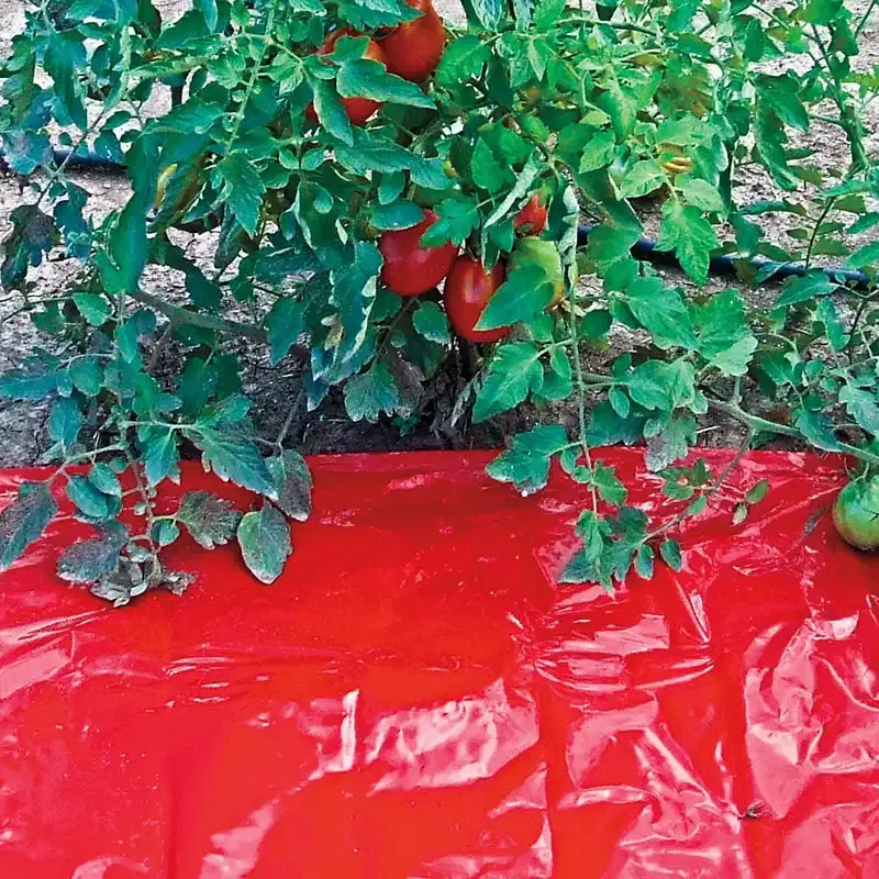 Tomato Mulch Sheet - Garden Weed Barrier and Soil Moisture Control Mat