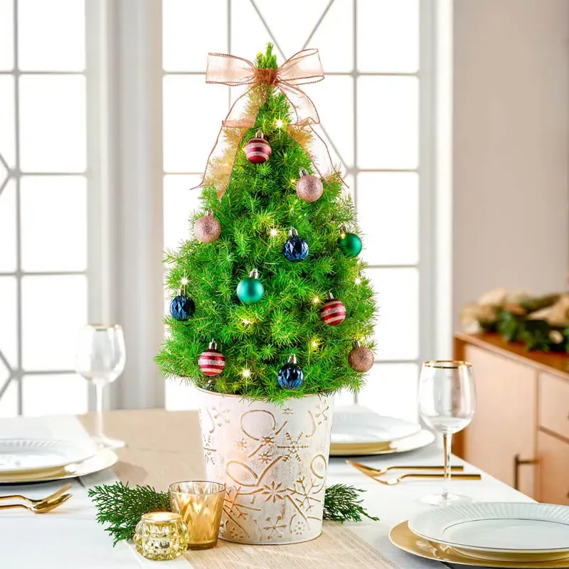 Jewel Tones Potted Spruce Tree for Indoor Decorative Display