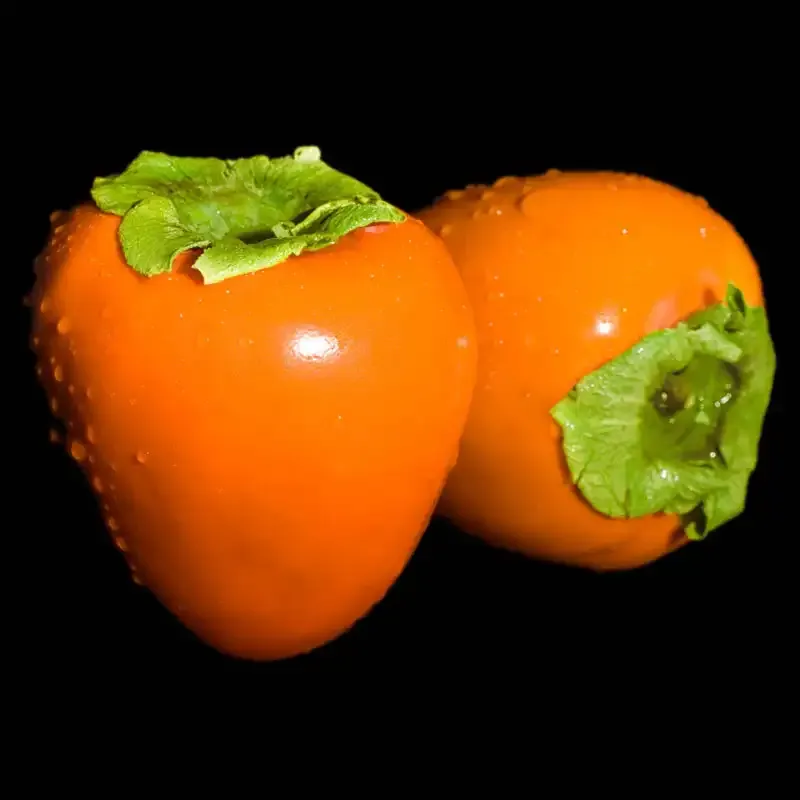 Chocolate Persimmon - Fresh Non-Astringent Variety 2