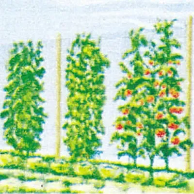 Heavy-Duty Plant Support Trellis Netting for Climbing Vegetables and Flowers 1