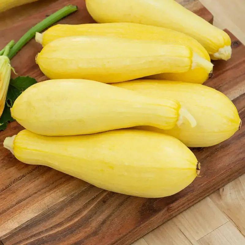 Supersonic Hybrid Summer Squash Seeds for Home Gardening