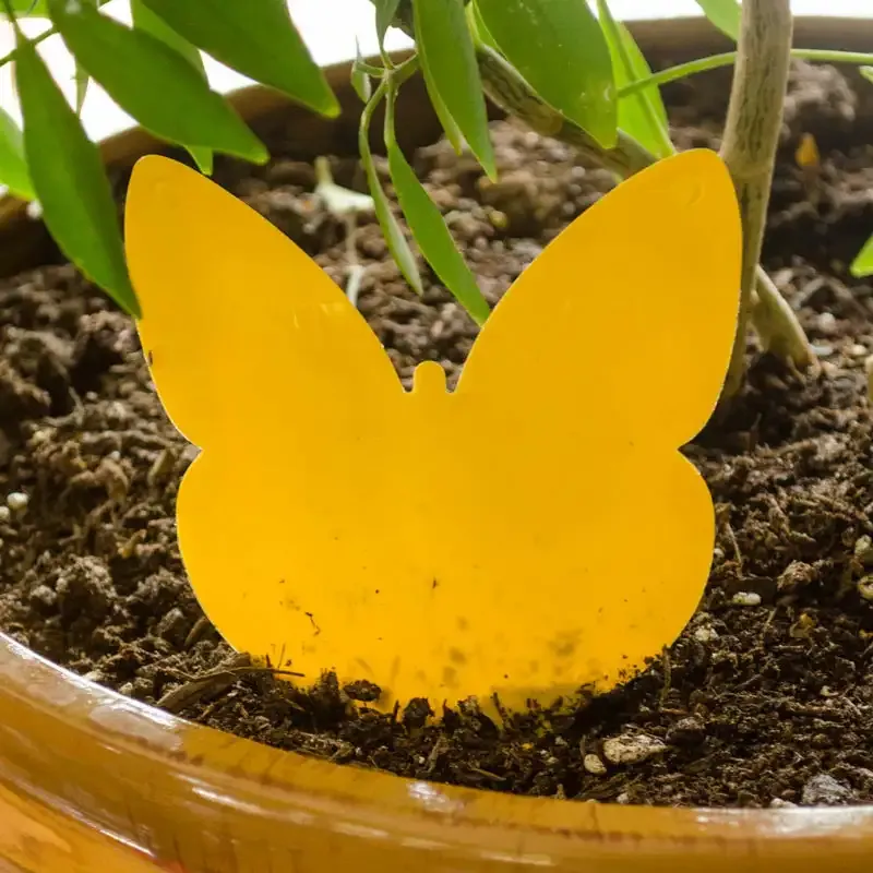Pot Stickers - Insect Glue Trap for Potted Plants