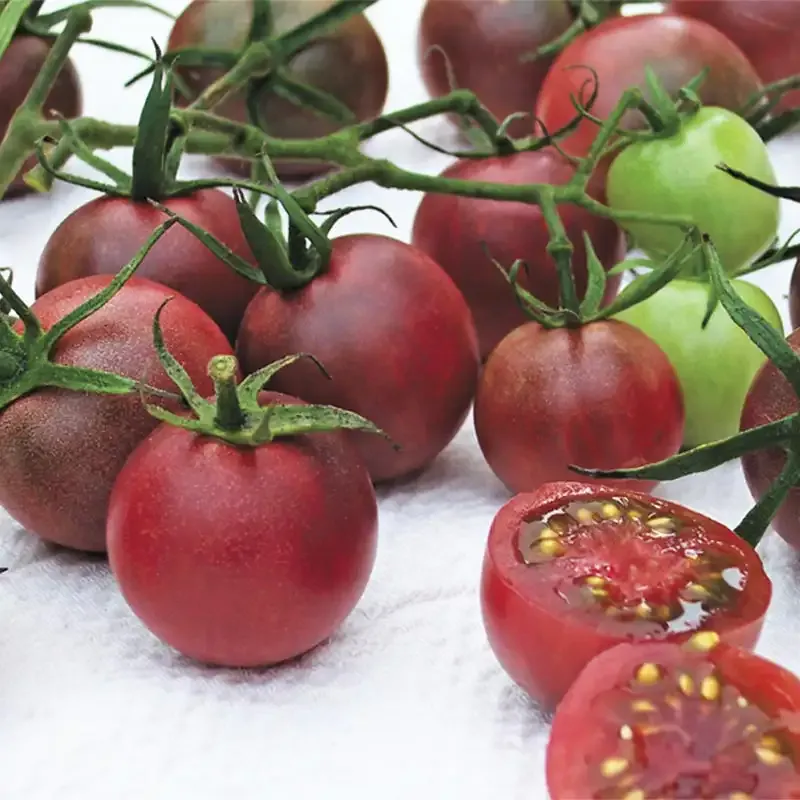 Chocolate Cherry Tomato Heirloom Vegetable Seeds