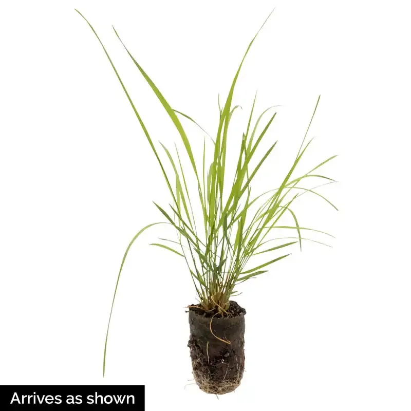 Diamond Grass Plant Artificial Decorative Greenery 1
