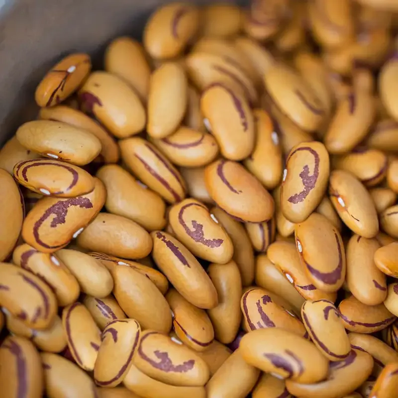 Tiger's Eye Shell Bean - Heirloom Dried Legumes