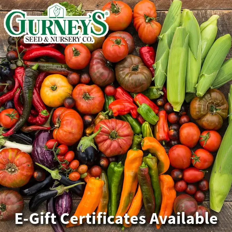 Digital Gardening Gift Certificate for Plants and Seeds