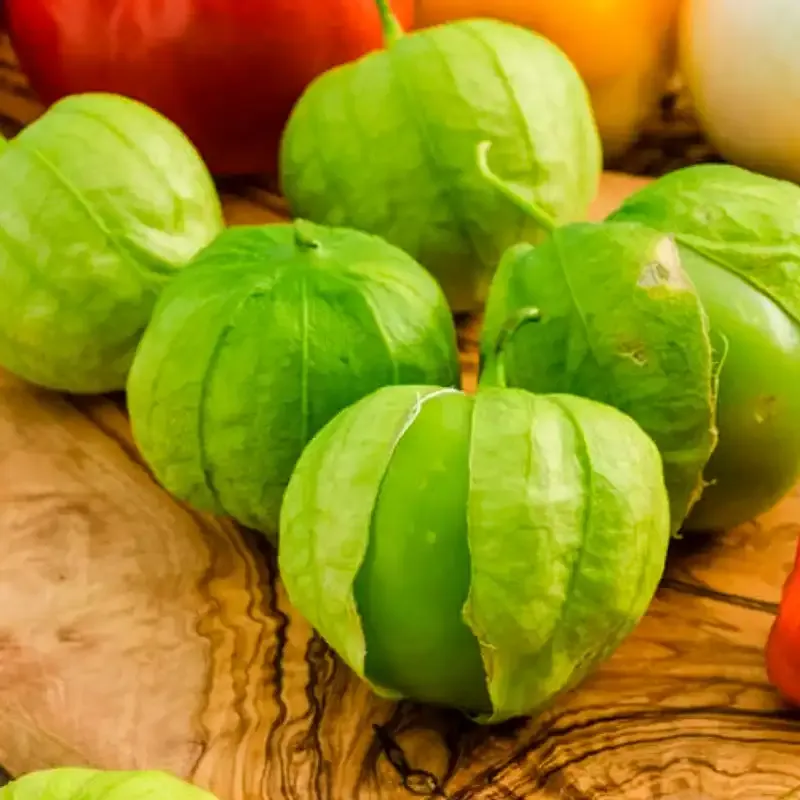 Tamayo Hybrid Tomatillo Seeds for Home Gardening