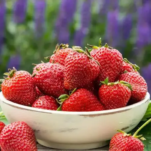 Fresh Seasonal Fruit Assortment - Natural Produce Selection 4