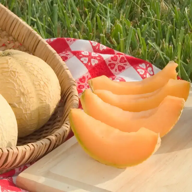 Improved Hybrid Cantaloupe Seeds - High-Yield Sweet Melon Variety