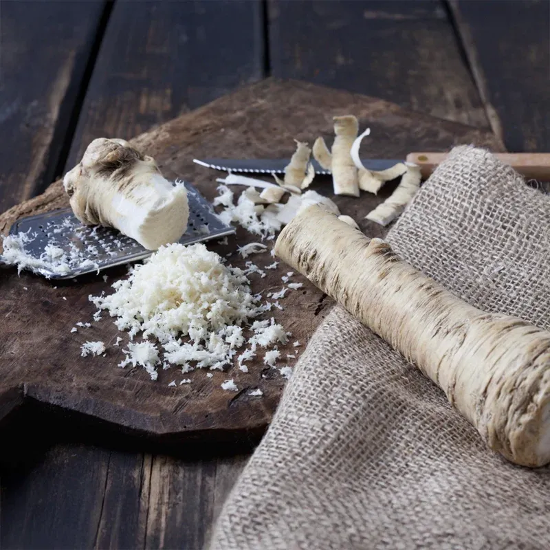 Hybrid Horseradish Roots for Home Gardening and Culinary Use 1