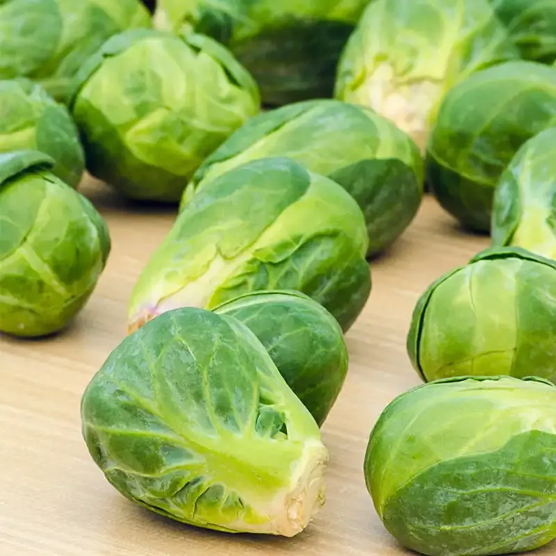 Jade Cross Hybrid Brussels Sprouts Seeds - High-Yield Garden Vegetable Seeds