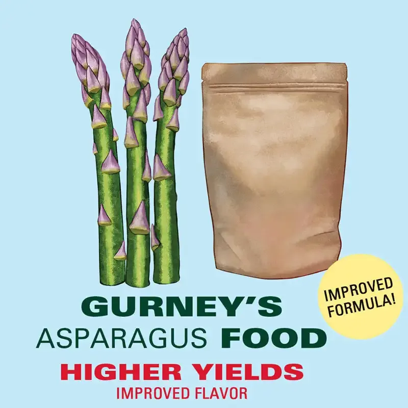Specialized Asparagus Fertilizer for Perennial Vegetable Growth