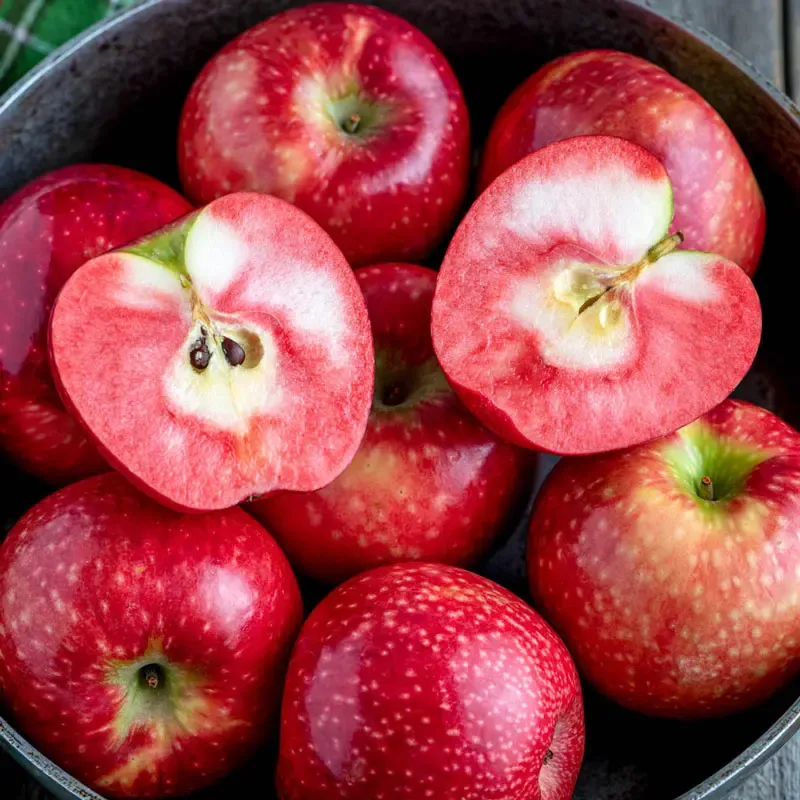 Rose Apple Tree - Deciduous Fruit-Bearing Garden Plant