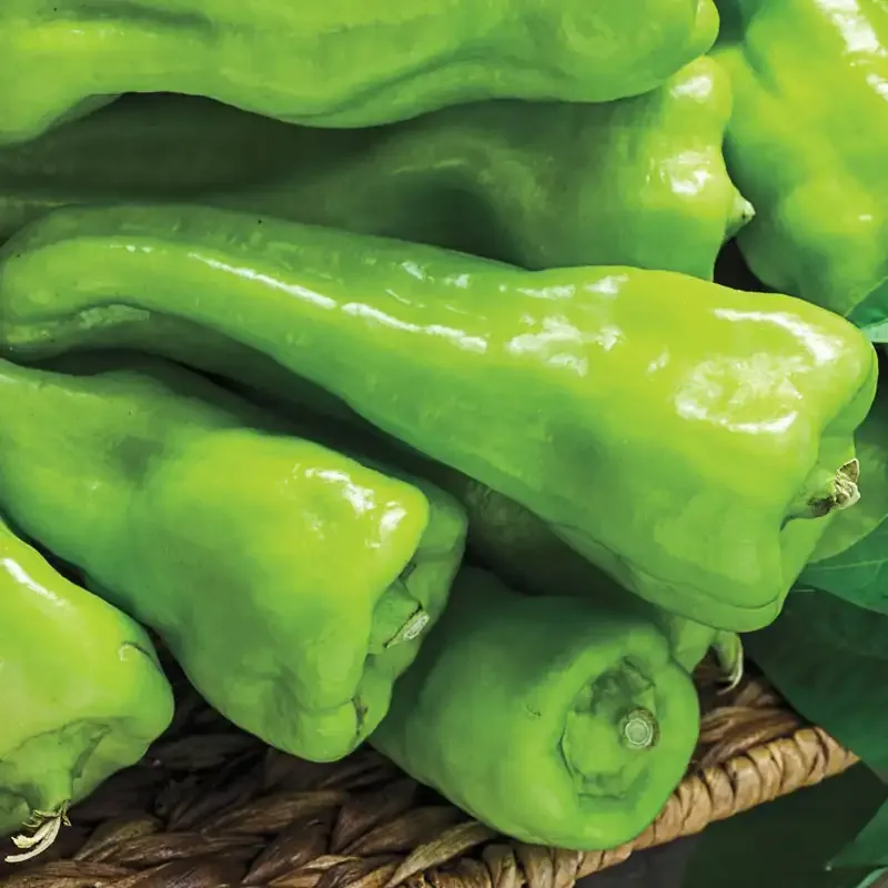 Cubanelle Sweet Frying Pepper Heirloom Seeds