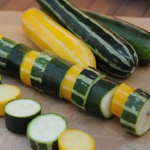 Summer Grillers Mixed Summer Squash Seeds - High Yield Heirloom Vegetable Variety