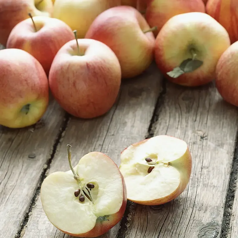 Gala Apple Tree for Home Garden Cultivation