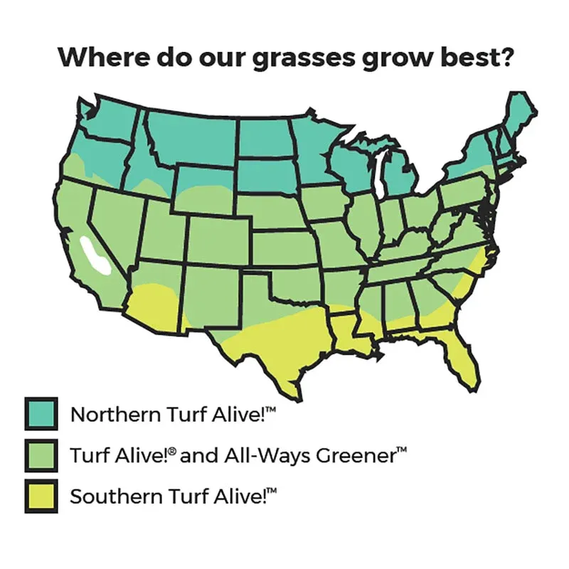 Northern Turf Grass Seed Mixture for Cold Climate Lawn Establishment 1