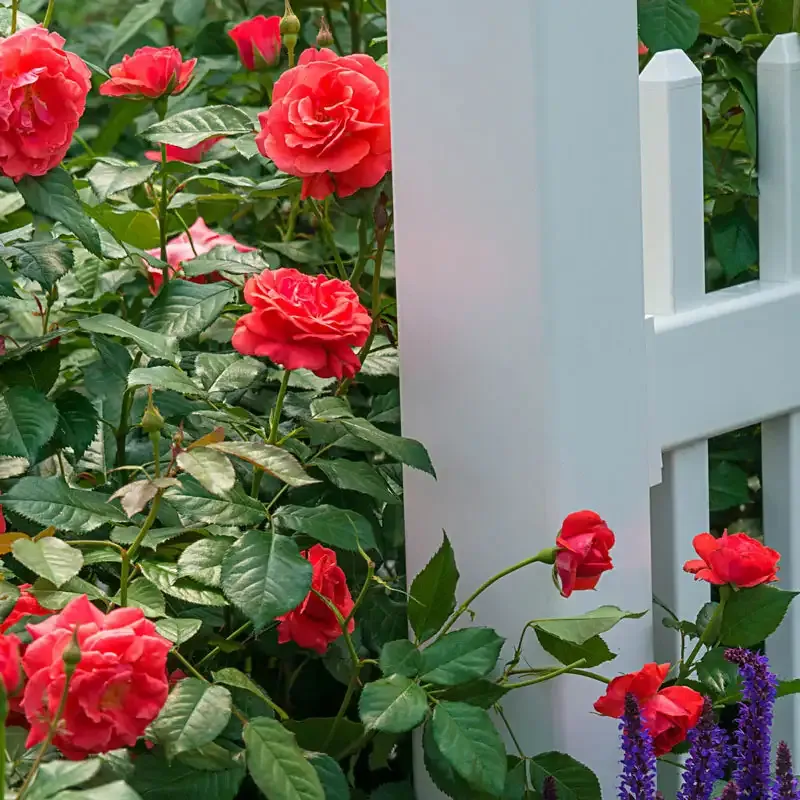 Coral Freedom Rose Decorative Floral Arrangement