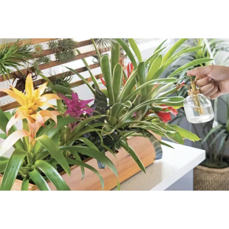 How to Window Box: Small-Space Gardening Guide for Indoor and Outdoor Plants 1